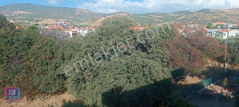Foça'nın Kalbinde Tadilatlı Satılık 2+1 Daire — fotoğraf 9