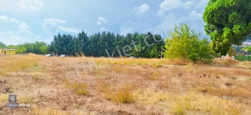 Urla İskelede Toprak Sahibi Olmanın Tam Zamanı — fotoğraf 12