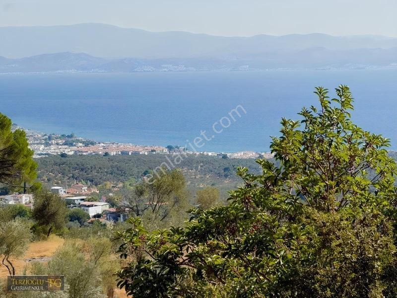 Terzioğlu'ndan Avcılarda Ful Deniz Manzaralı Zeytinlik — fotoğraf 9