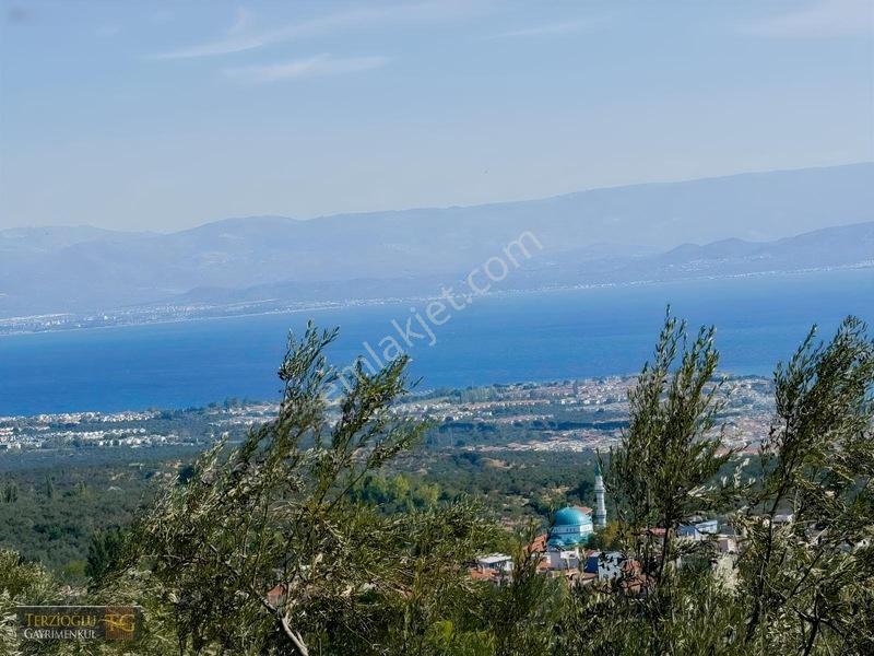 Terzioğlu'ndan Avcılarda Ful Deniz Manzaralı Zeytinlik — fotoğraf 15