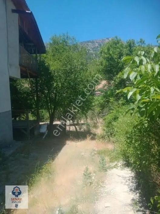 Saimbeyli /gürleşende Satılık Ev Ve Bahçe 3800m² — fotoğraf 2
