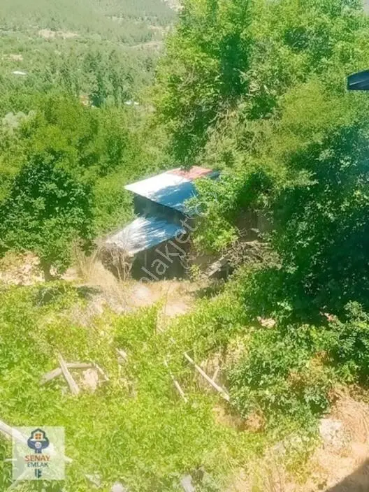 Saimbeyli /gürleşende Satılık Ev Ve Bahçe 3800m² — fotoğraf 4