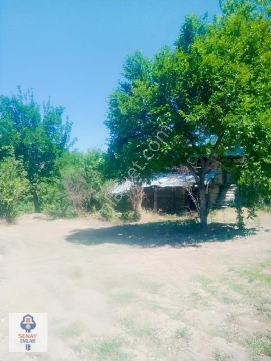 Saimbeyli /gürleşende Satılık Ev Ve Bahçe 3800m² — fotoğraf 6