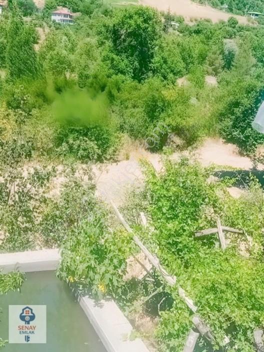 Saimbeyli /gürleşende Satılık Ev Ve Bahçe 3800m² — fotoğraf 8