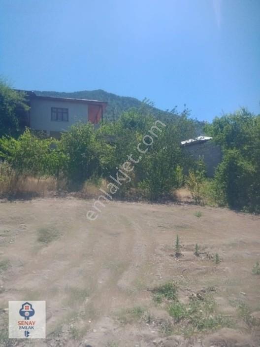 Saimbeyli /gürleşende Satılık Ev Ve Bahçe 3800m² — fotoğraf 10
