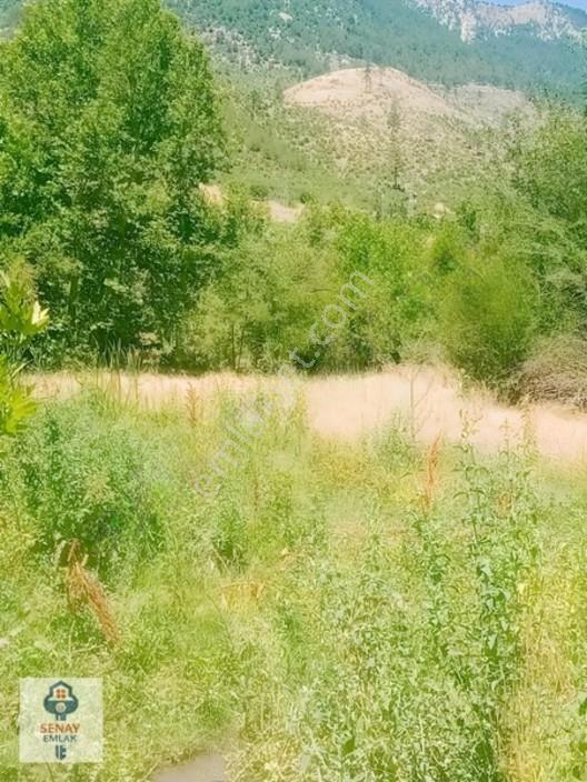 Saimbeyli /gürleşende Satılık Ev Ve Bahçe 3800m² — fotoğraf 11
