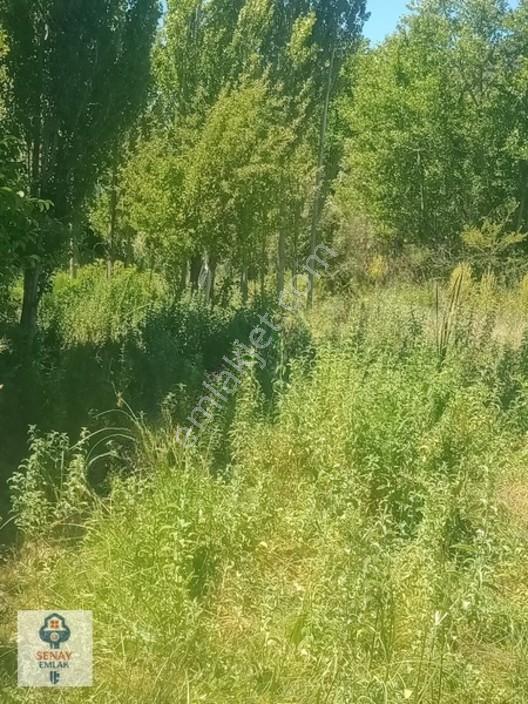 Saimbeyli /gürleşende Satılık Ev Ve Bahçe 3800m² — fotoğraf 13