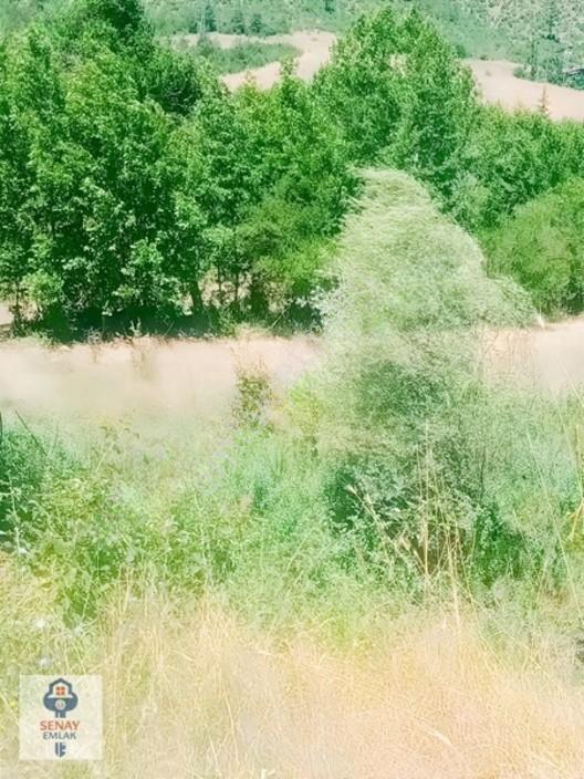 Saimbeyli /gürleşende Satılık Ev Ve Bahçe 3800m² — fotoğraf 14