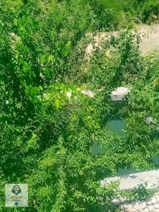 Saimbeyli /gürleşende Satılık Ev Ve Bahçe 3800m² — fotoğraf 15