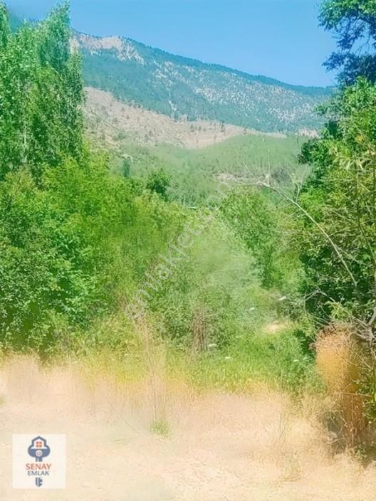 Saimbeyli /gürleşende Satılık Ev Ve Bahçe 3800m² — fotoğraf 16