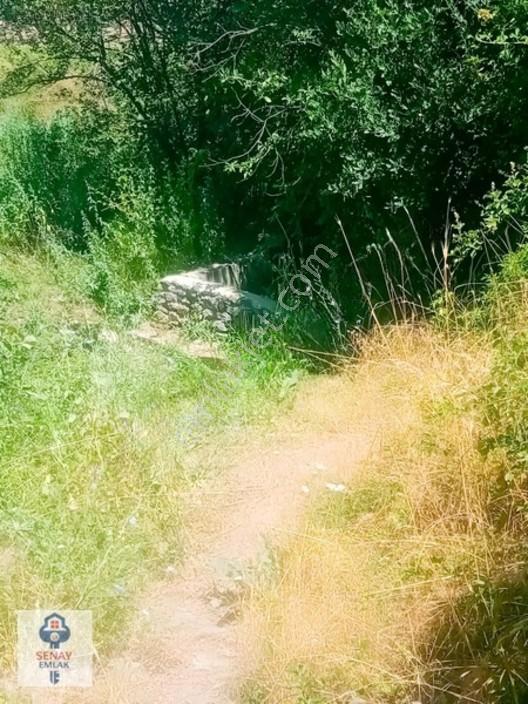Saimbeyli /gürleşende Satılık Ev Ve Bahçe 3800m² — fotoğraf 17