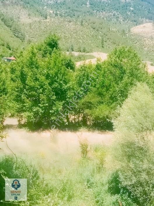 Saimbeyli /gürleşende Satılık Ev Ve Bahçe 3800m² — fotoğraf 18