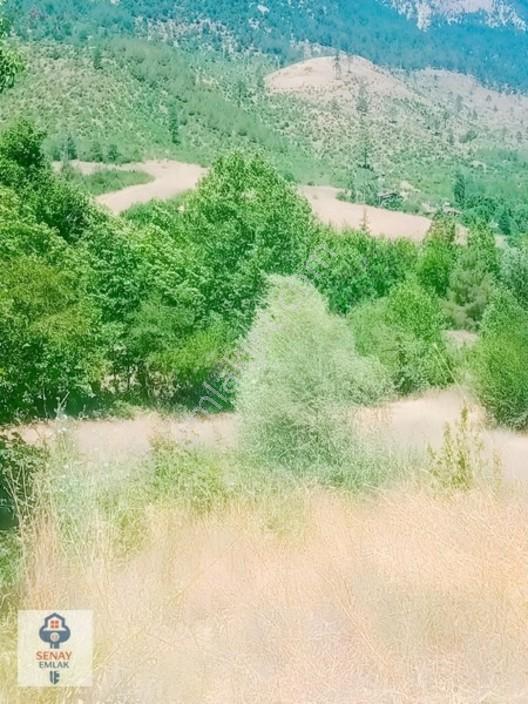 Saimbeyli /gürleşende Satılık Ev Ve Bahçe 3800m² — fotoğraf 19