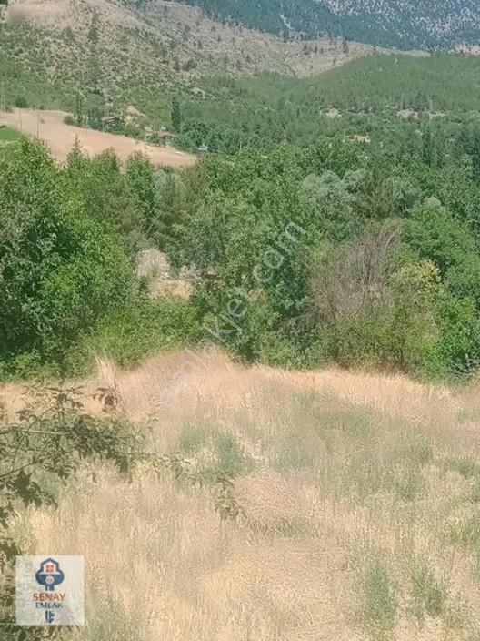 Saimbeyli /gürleşende Satılık Ev Ve Bahçe 3800m² — fotoğraf 20