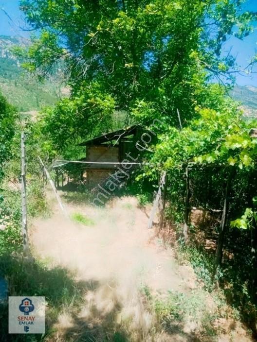 Saimbeyli /gürleşende Satılık Ev Ve Bahçe 3800m² — fotoğraf 21