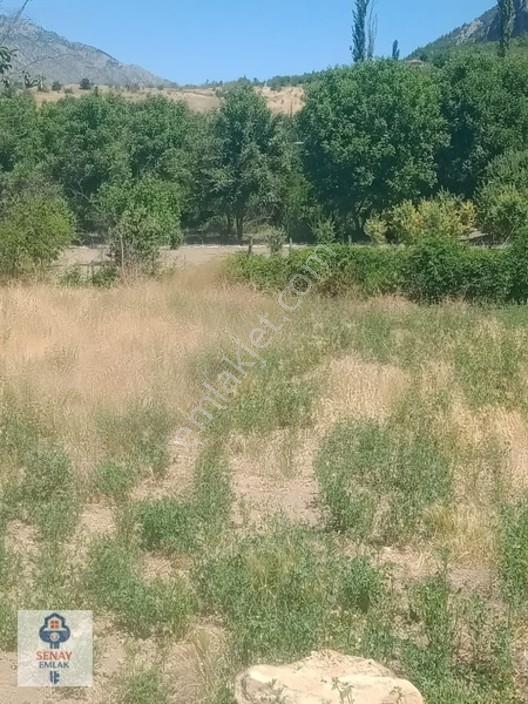 Saimbeyli /gürleşende Satılık Ev Ve Bahçe 3800m² — fotoğraf 23
