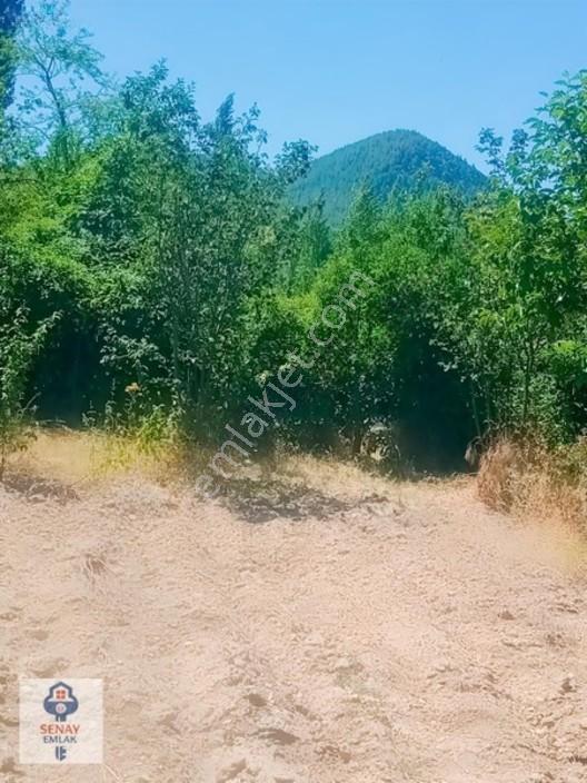 Saimbeyli /gürleşende Satılık Ev Ve Bahçe 3800m² — fotoğraf 25