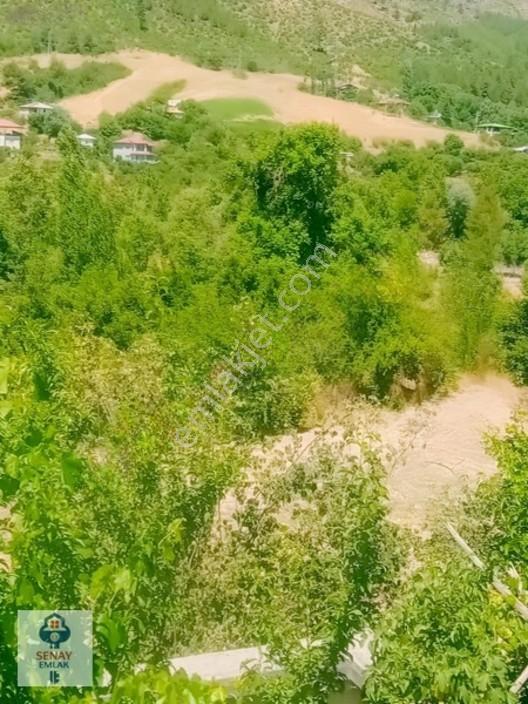 Saimbeyli /gürleşende Satılık Ev Ve Bahçe 3800m² — fotoğraf 26