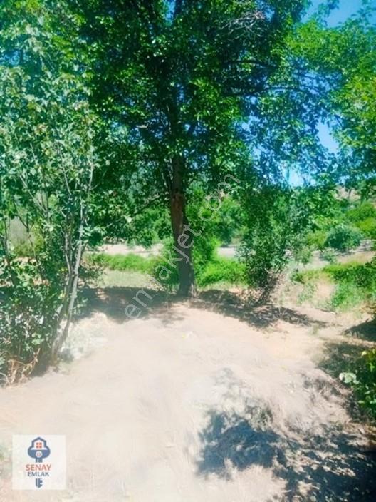 Saimbeyli /gürleşende Satılık Ev Ve Bahçe 3800m² — fotoğraf 27