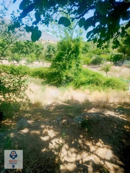 Saimbeyli /gürleşende Satılık Ev Ve Bahçe 3800m² — fotoğraf 29