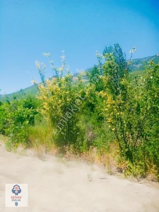 Saimbeyli /gürleşende Satılık Ev Ve Bahçe 3800m² — fotoğraf 31