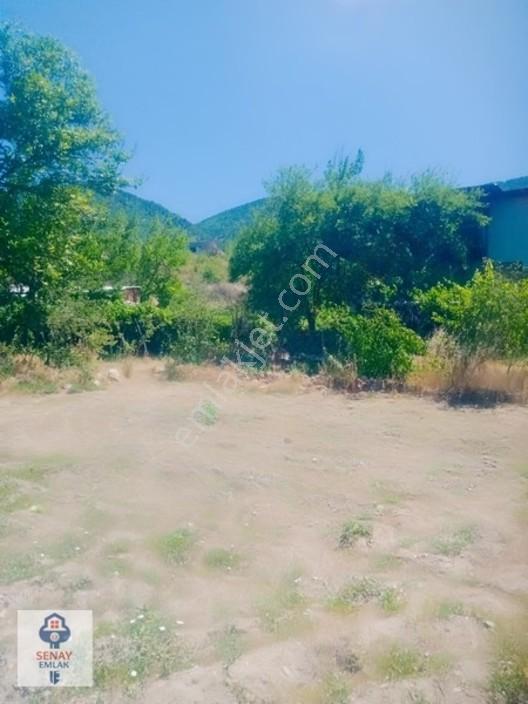 Saimbeyli /gürleşende Satılık Ev Ve Bahçe 3800m² — fotoğraf 32