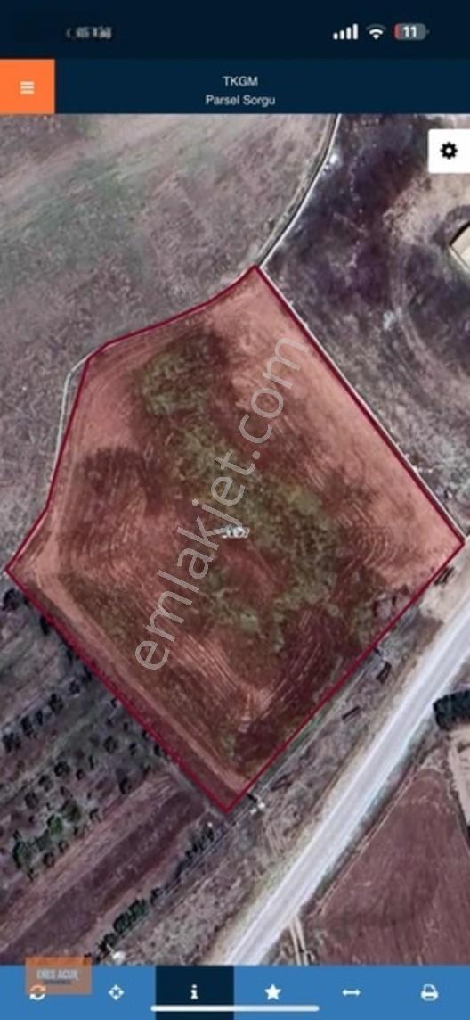 Enes Acur'Dan Hatunsaray'Da Sulu Tarla