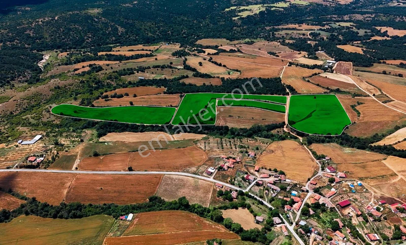 Edirne Ömeroba Çiftlik Ve Tarım Uygun 105 Dönüm Fırsat Tarla ! — fotoğraf 4