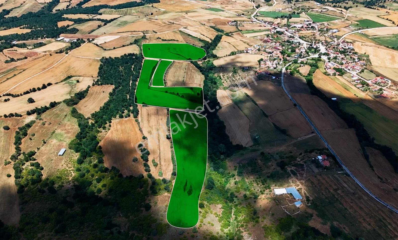 Edirne Ömeroba Çiftlik Ve Tarım Uygun 105 Dönüm Fırsat Tarla ! — fotoğraf 5