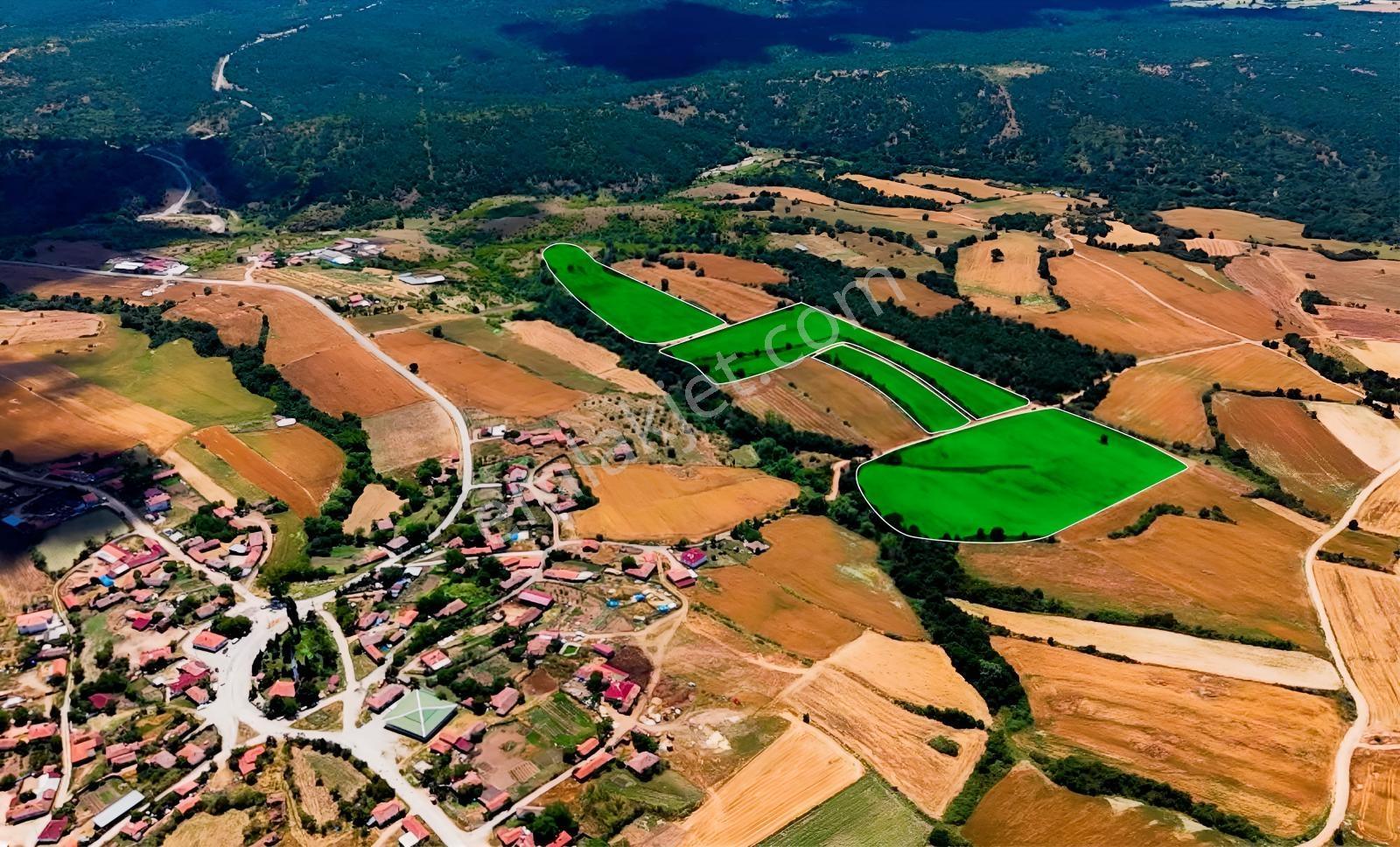 Edirne Ömeroba Çiftlik Ve Tarım Uygun 105 Dönüm Fırsat Tarla ! — fotoğraf 6