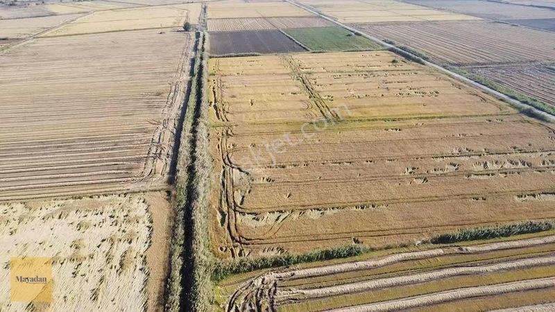Mayadan Gyo Manyas Kulakda Satılık Çeltik Tarlası 40 Dönüm — fotoğraf 2