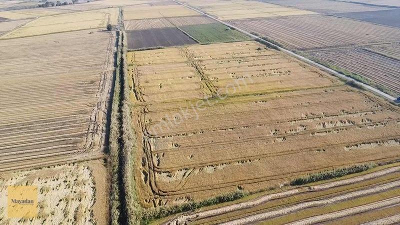 Mayadan Gyo Manyas Kulakda Satılık Çeltik Tarlası 40 Dönüm — fotoğraf 4