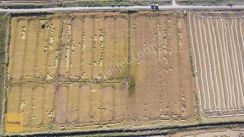Mayadan Gyo Manyas Kulakda Satılık Çeltik Tarlası 40 Dönüm — fotoğraf 5