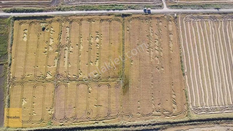 Mayadan Gyo Manyas Kulakda Satılık Çeltik Tarlası 40 Dönüm — fotoğraf 6