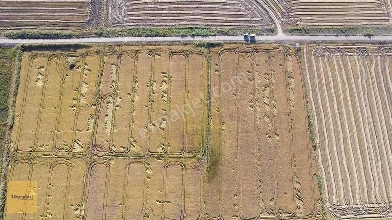 Mayadan Gyo Manyas Kulakda Satılık Çeltik Tarlası 40 Dönüm — fotoğraf 7