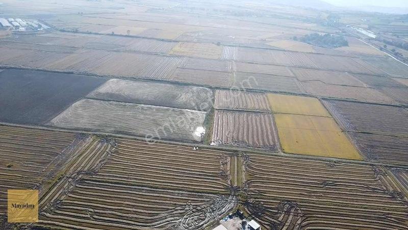Mayadan Gyo Manyas Kulakda Satılık Çeltik Tarlası 40 Dönüm — fotoğraf 8