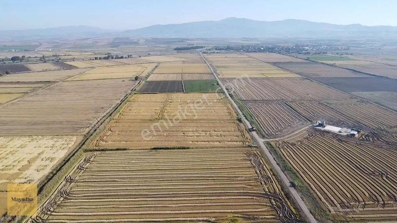 Mayadan Gyo Manyas Kulakda Satılık Çeltik Tarlası 40 Dönüm — fotoğraf 9