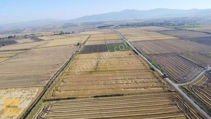 Mayadan Gyo Manyas Kulakda Satılık Çeltik Tarlası 40 Dönüm — fotoğraf 10