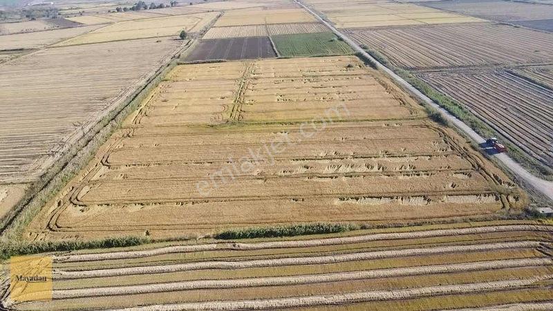 Mayadan Gyo Manyas Kulakda Satılık Çeltik Tarlası 40 Dönüm — fotoğraf 12