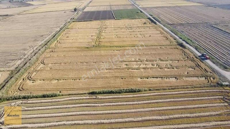 Mayadan Gyo Manyas Kulakda Satılık Çeltik Tarlası 40 Dönüm — fotoğraf 13
