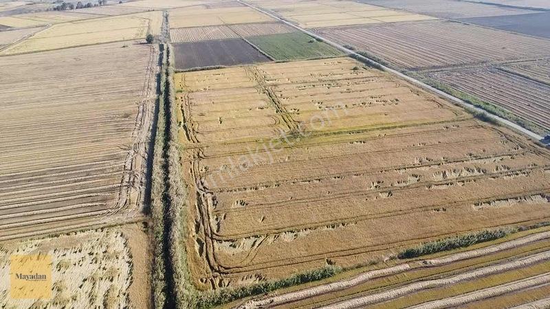 Mayadan Gyo Manyas Kulakda Satılık Çeltik Tarlası 40 Dönüm — fotoğraf 14