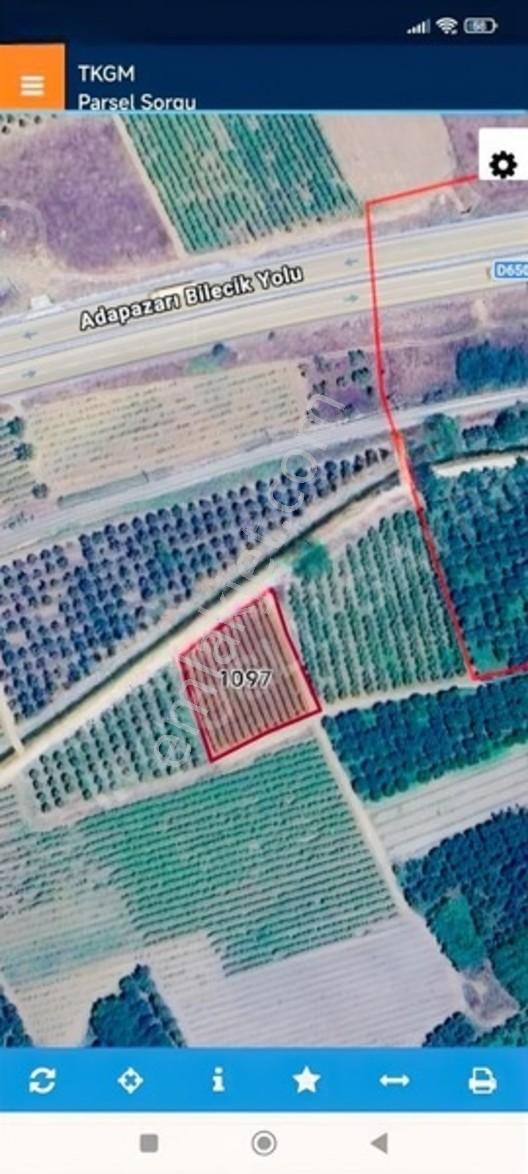 Acil Satılık Tarla 1.629m2 Tek Tapu — fotoğraf 2