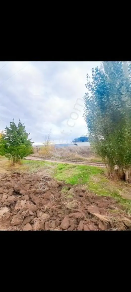 Konya Seydişehir Gevrekli De Usanmaz Emlaktan Satılık Tarla — fotoğraf 2