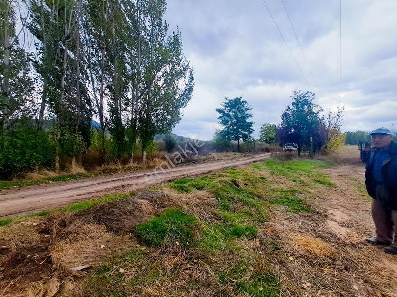 Konya Seydişehir Gevrekli De Usanmaz Emlaktan Satılık Tarla — fotoğraf 6