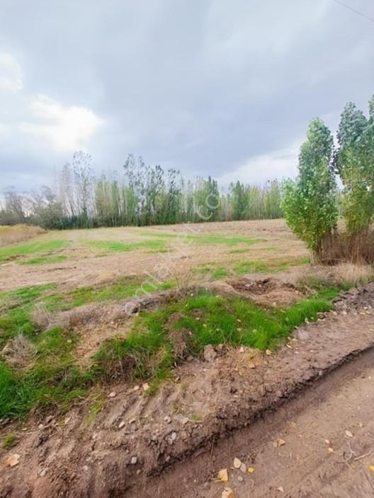 Konya Seydişehir Gevrekli De Usanmaz Emlaktan Satılık Tarla — fotoğraf 7