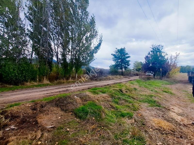 Konya Seydişehir Gevrekli De Usanmaz Emlaktan Satılık Tarla — fotoğraf 10