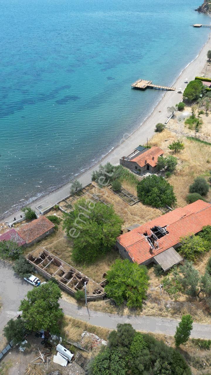 Asos Kozluda 6.016 M2 Eski Zeytinyağı Fabrikası — fotoğraf 2