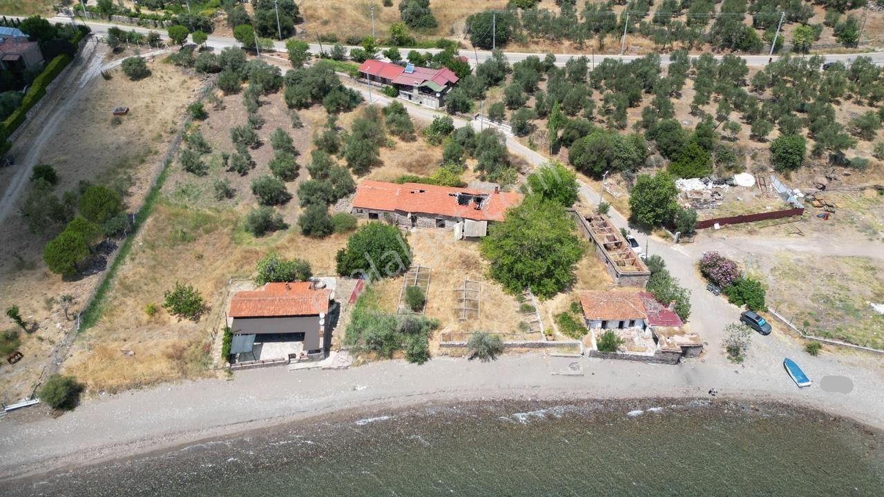 Asos Kozluda 6.016 M2 Eski Zeytinyağı Fabrikası — fotoğraf 3