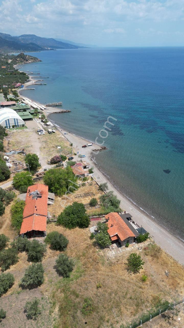 Asos Kozluda 6.016 M2 Eski Zeytinyağı Fabrikası — fotoğraf 7