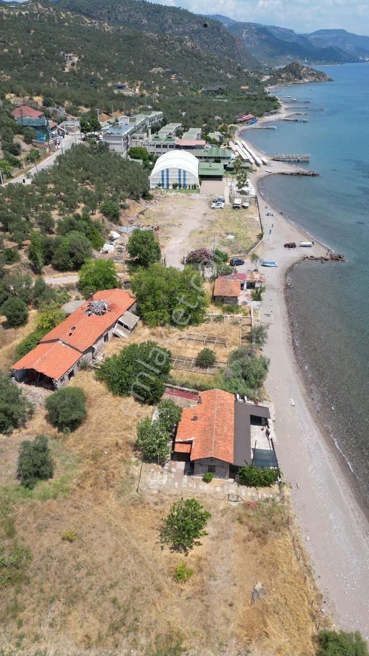Asos Kozluda 6.016 M2 Eski Zeytinyağı Fabrikası — fotoğraf 8